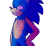 New Sonic Style Yall