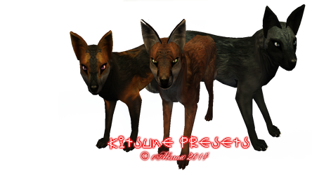 FREE KITSUNE PRESETS