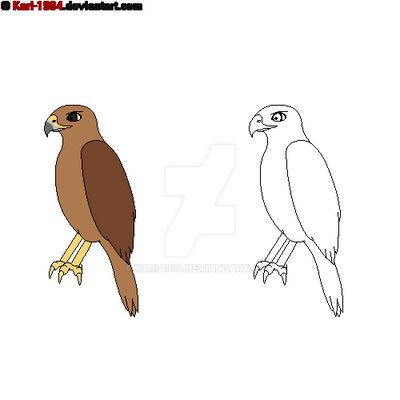 Hawk Ref Base Hawk Base 1 by Kari-1994 on DeviantArt