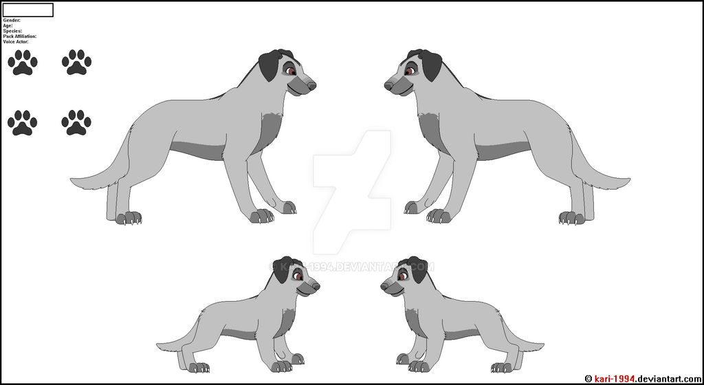 Labrador Retriever Reference Page Base by Kari-1994 on DeviantArt