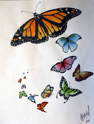 Butterfly Flash Page