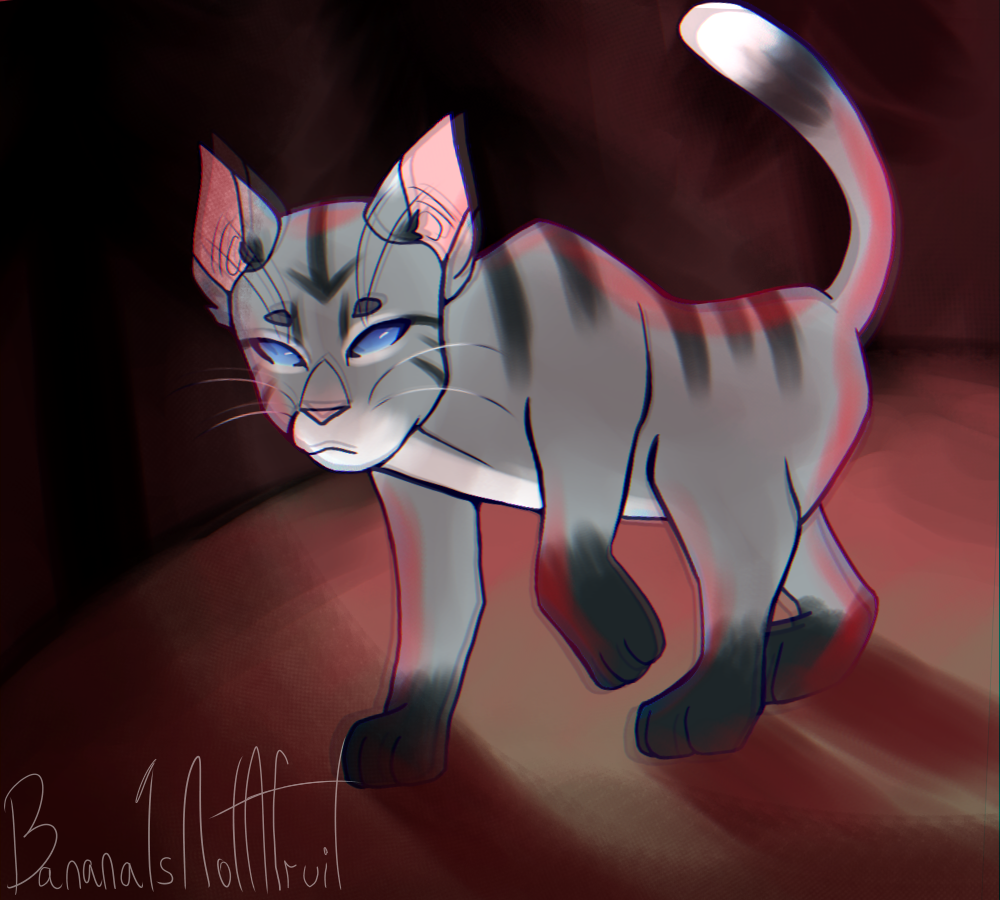 The Jayfeather Scene that EVERYONE Missed