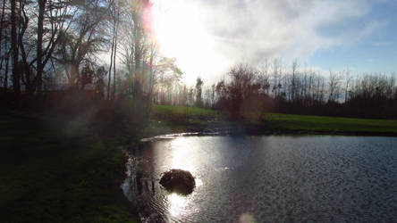 Sunny Pond