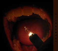 A luz que ilumina a voz