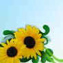 Sunflower Wallpaper