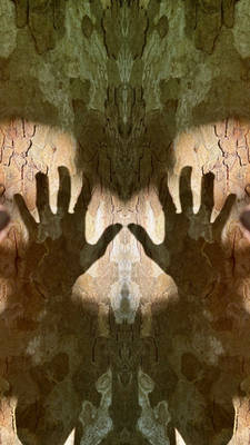 The tree and the shadow