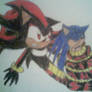 Naga Shadow and Sonic 1