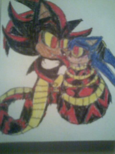 Naga Shadow and Sonic 2