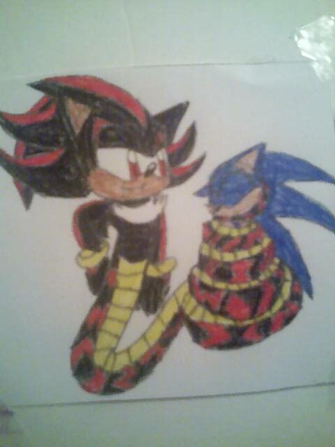 Naga Shadow and Sonic 3