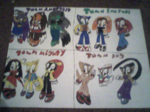 Sonic Riders Teams 3 by PrincessShannon07 on DeviantArt