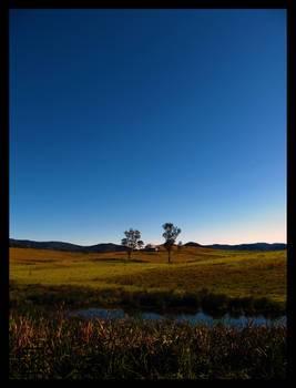 Overlooking the Billabong