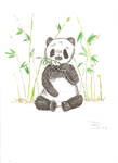 Panda commission