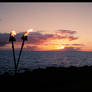 Upon the Horizon