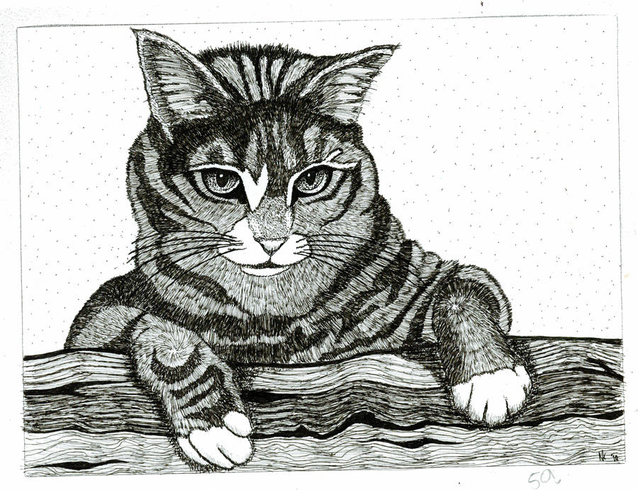 Stipple Cat by flyingpiggy27 on DeviantArt