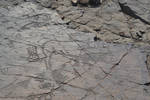 Petroglyphs - Nooitgedacht, South Africa by inimzungu