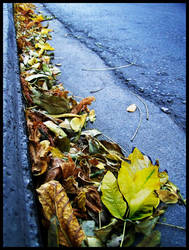 Autumn in the city