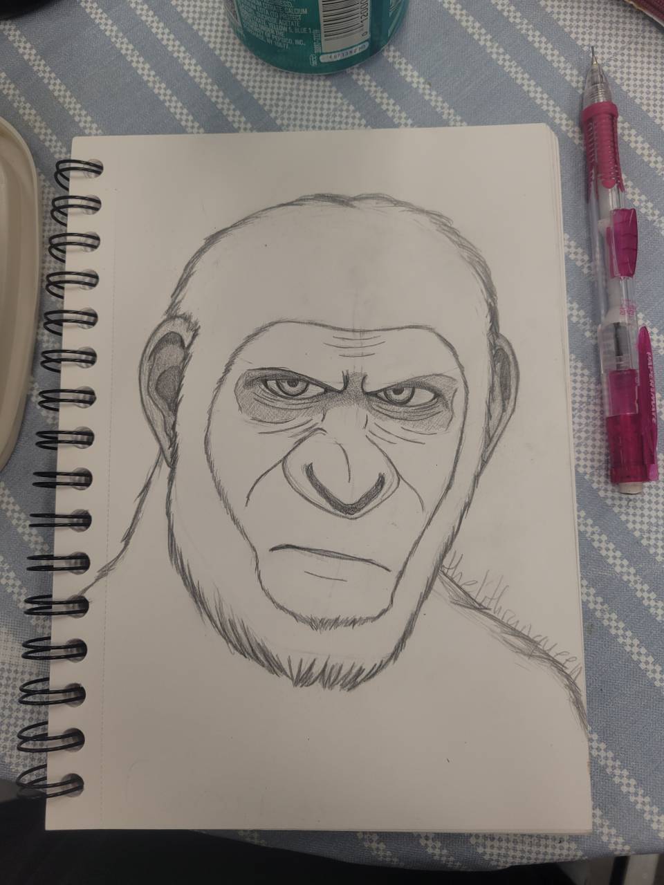 Caesar WIP