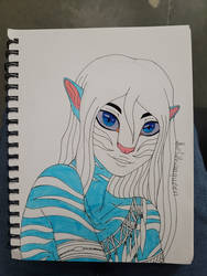 WIP