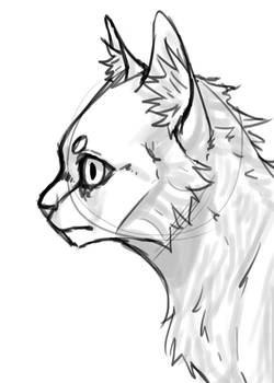 Cat's profile sketch