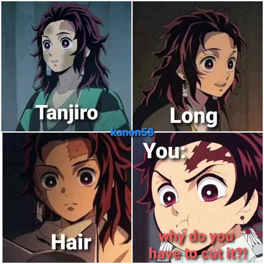 What if Tanjiro didn't cut his hair by AladdinDragonson42 on DeviantArt