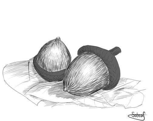 Inktober Day 15: Acorns