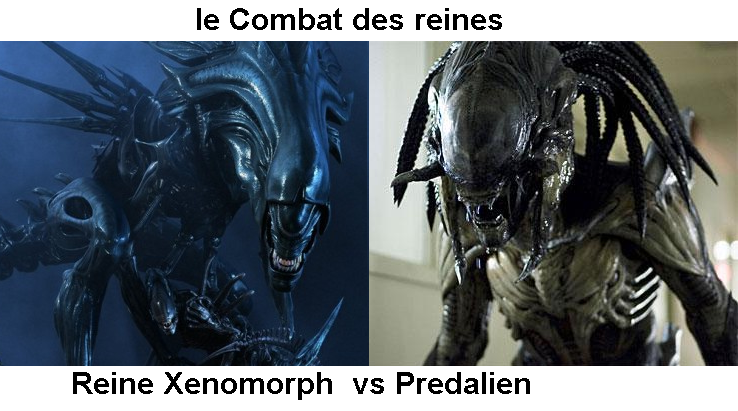 Reine Xenomorph vs Predalien by VMJML1er on DeviantArt