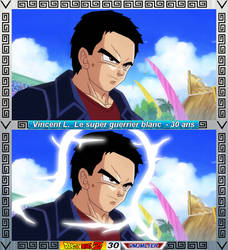 Vincent super guerrier blanc v2.2