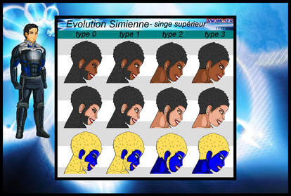 Evolution Simienne 0 vers 3