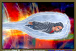 Super VL, Deplacement Extra Univers