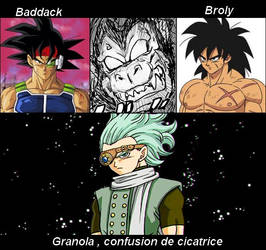 Bardock,Granola,Broly