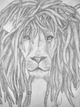 Lion with dred locks