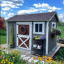 Pool Storage Shed