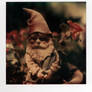 a gnome in a pot