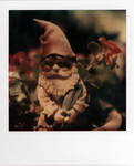 a gnome in a pot by futurowoman