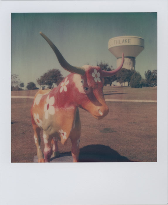 A Psychedelic Longhorn