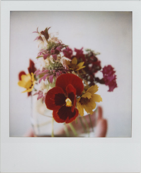 A Wildflower Bouquet