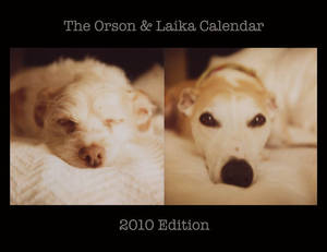 Orson and Laika Calendar 2010