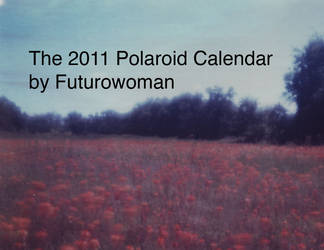 2011 Futurowoman Calendar