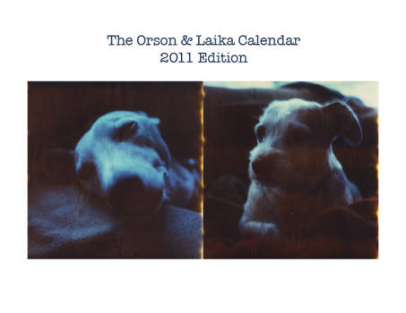 Orson and Laika 2011 Calendar