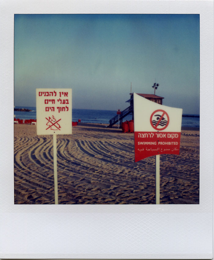 a manicured, dogless beach