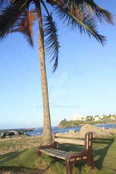 Seat and Palm on the supposedly public beach