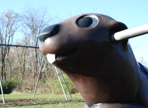 my beaver by darna-art on DeviantArt