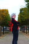 APH: Cardverse Prussia by ECCG