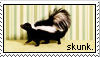 skunk__by_tbearmn22_d1vhz3k-fullview.jpg
