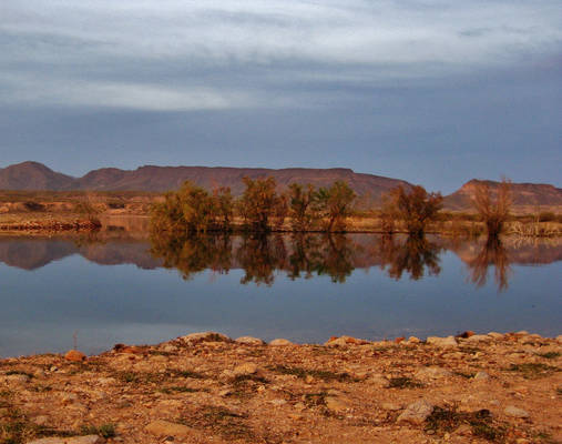 Arizona Desert 8