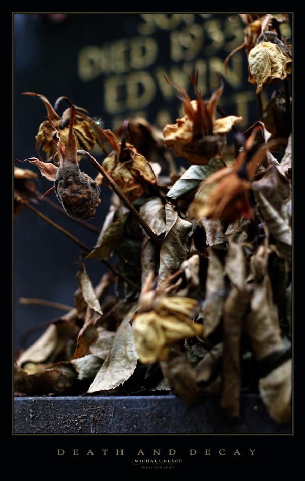 death and decay by meaty on DeviantArt