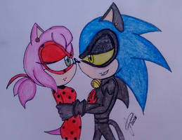 Miraculous Ladybug *Amy* and Cat Noir *Sonic*