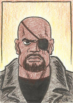 Nick Fury from Captain America: The Winter Soldier