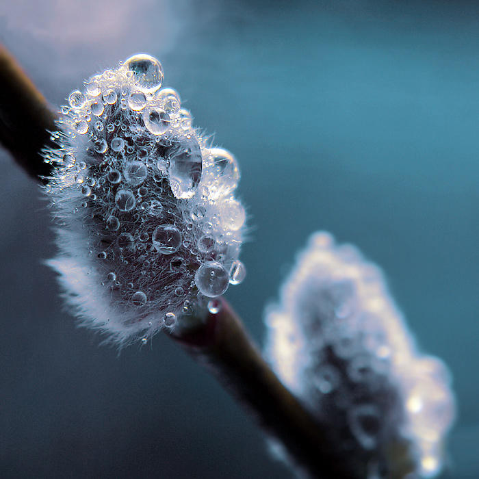 spring. by AdrianaKH-75 spring. by AdrianaKH-75