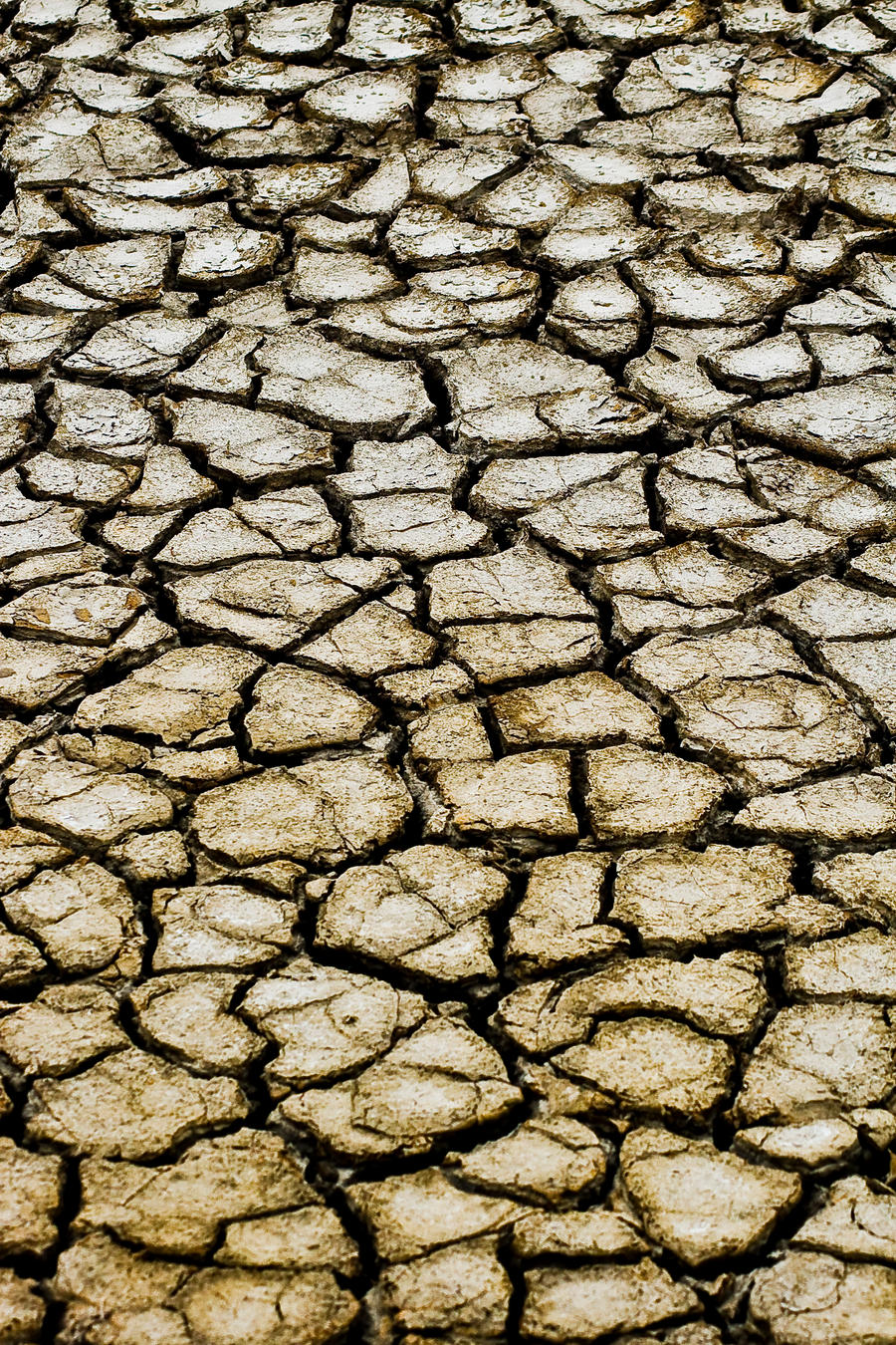 img-043574 cracked dry mud 01